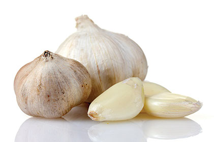 Garlic secrets. Image of garlic.