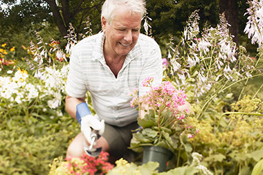 Image of retired man gardening.