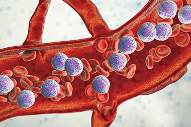 Illustration of vein with blood cells.