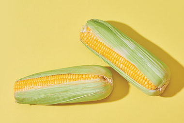 Two corn on the cobs. Two corn on the cobs.