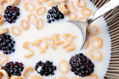 Stress eating-spot it and stop it. Image of cereal bowl with berries with the words stress spelled out.