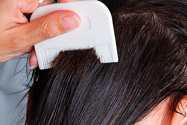 Image of a person using a lice comb.