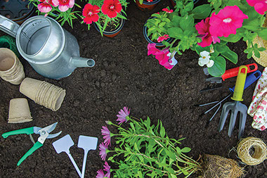 Gardening tools on dirt with flowers ready to plant.