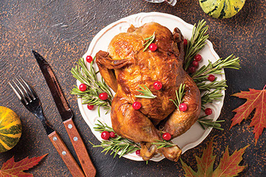 Cooked turkey on plate. Cooked turkey on plate.