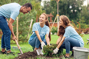 Volunteers planting trees.