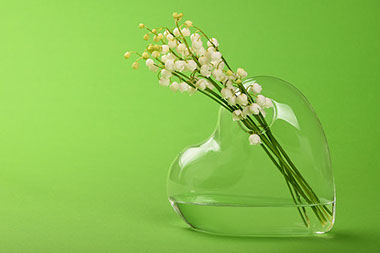 Heart shape vase with flowers. Heart shape vase with flowers.