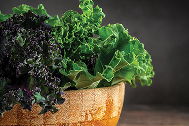 Variety of greens. Variety of greens.