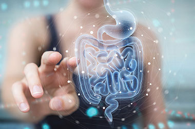 Hand reaching out to touch an illustration of digestive system.