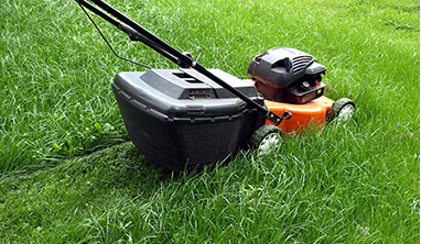 Image of lawn mower cutting the grass.