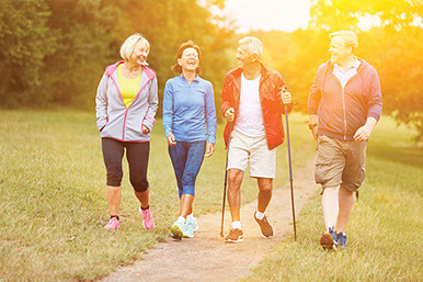 Group of older friends walking through the park. Group of older friends walking through the park.
