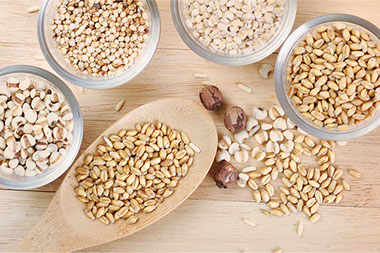 Go with the grain. Image of different grains.