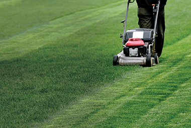 Mow safely. Image of person mowing the lawn.