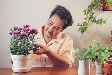 Women tending to her plants.