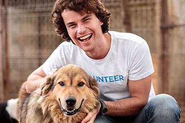 Man wearing volunteer shirt with dog. Man wearing volunteer shirt with dog.