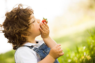 Image of toddler eating a strawberry.
