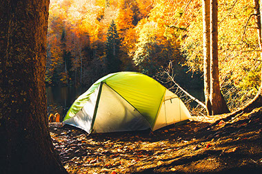 Tent set up in the woods. Tent set up in the woods.