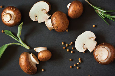 Image of mushrooms. Image of mushrooms.