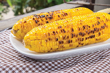 Image of a grilled corn on the cob.