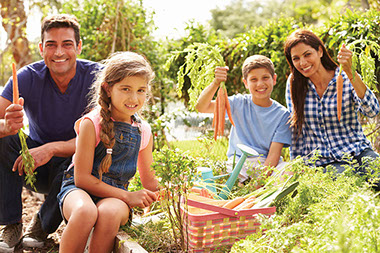 Family tending to backyard garden.