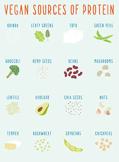 Illustration of vegan sources of protein.