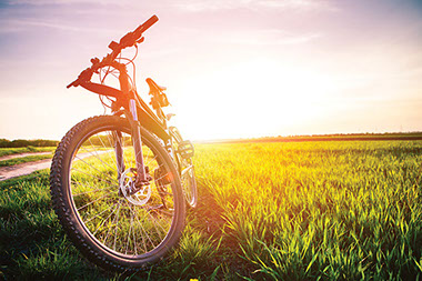 Image of bike in the field.