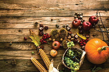 Fall in love with fall vegetables. Image of a variety of fall vegetables.