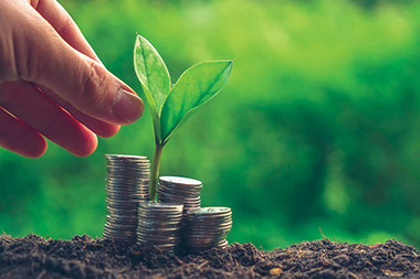 Concept image of growing leaf with stacked coins. Concept image of growing leaf with stacked coins.
