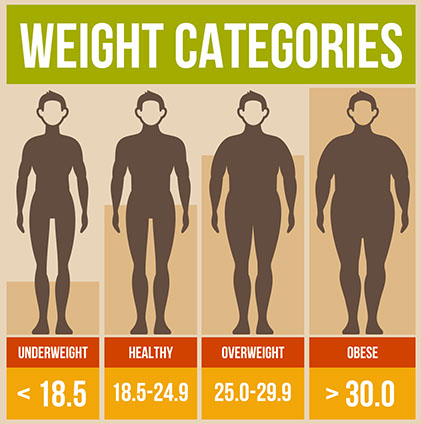 Illustration of BMI weight categories.
