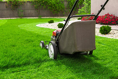 Image of mower, cutting grass.
