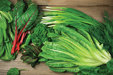 Variety of leaft greens. Variety of leaft greens.