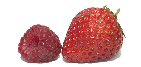 Image of a berry and strawberry.