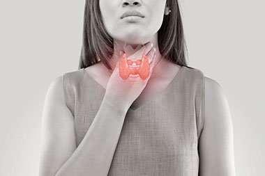 Image of women holding her neck with an illustration of the thyroid gland on top.