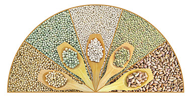 Image of different types of peas.