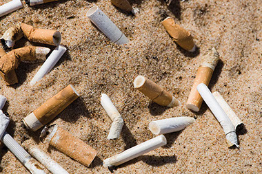 Image of cigarettes butts.