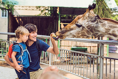 Father and son feeding a giraffe.