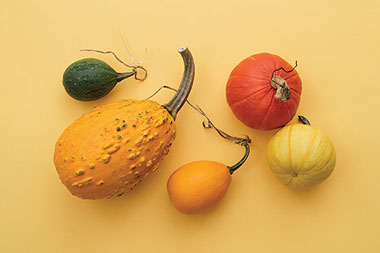 Variety of winter squash.
