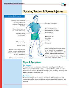 Healthier at Home book by the American Institute for Preventive Medicine. www.HealthyLife.com. All rights reserved. Healthier at Home book by the American Institute for Preventive Medicine. www.HealthyLife.com. All rights reserved.