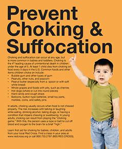 Safe at Home - Do This, Not That Book. Published by the American Institute for Preventive Medicine. www.HealthyLife.com. All rights reserved.
