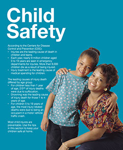 Safe at Home - Do This, Not That Book. Published by the American Institute for Preventive Medicine. www.HealthyLife.com. All rights reserved. Safe at Home - Do This, Not That Book. Published by the American Institute for Preventive Medicine. www.HealthyLife.com. All rights reserved.