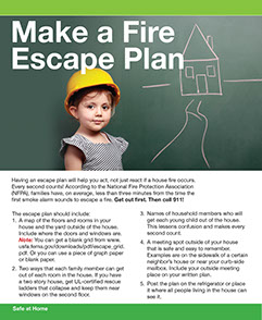 Safe at Home - Do This, Not That Book. Published by the American Institute for Preventive Medicine. www.HealthyLife.com. All rights reserved.