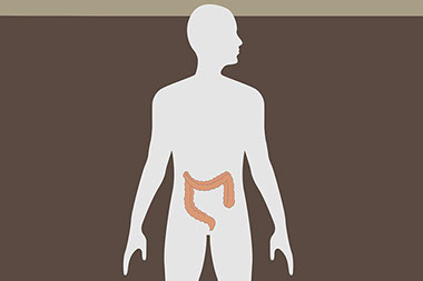 Illustration of a colon.