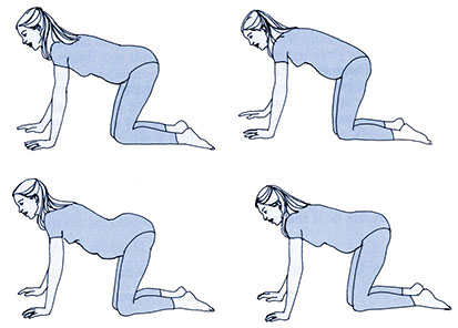 Self-care for backaches while pregnant. Illustration of pregnant women doing the pelvic rock on hands and knees.
