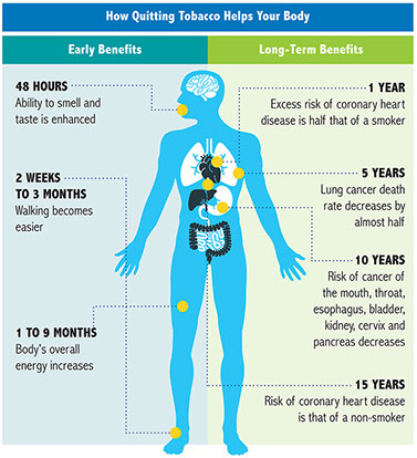 Chart showing how quitting tobacco helps your body.
