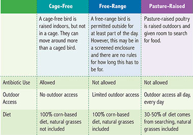 Chart showing Cage-Free, Free-Range, and Pasture Raised definitions.